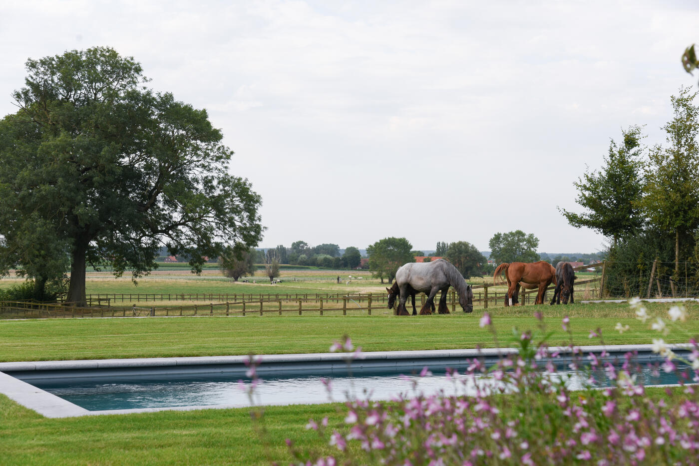 landelijke tuin